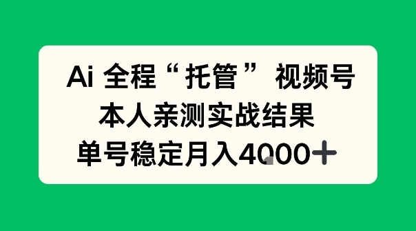 Ai自动托管视频号实战，本人亲测，单账号月入4k+【揭秘】-寒山客