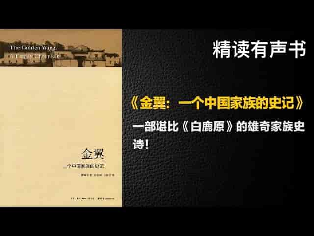 金翼听书解读：家族史诗魅力-寒山客