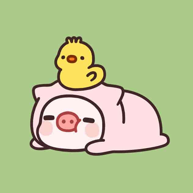 个人IP创富:商业定位与流量-寒山客