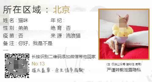宠物领养信息发布源码（猫狗适用）-寒山客