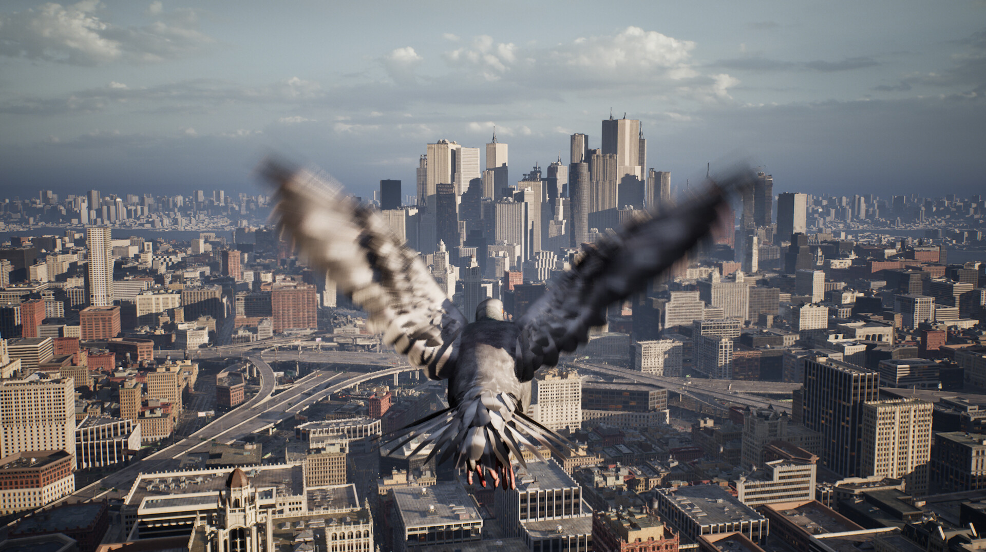 《鸽子飞行模拟器》中文版插图5