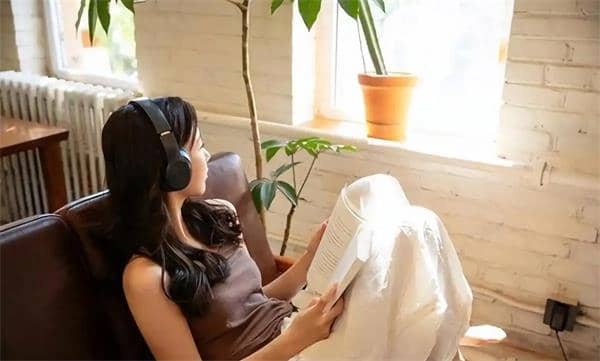 周末宅家必备无损音乐合集-寒山客